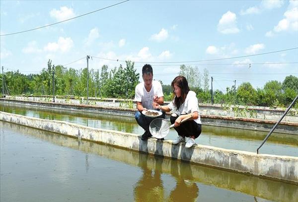 万联天津生态科技水产养殖基地项目定额(万联(天津)生态科技水产养殖基地项目招标公告)