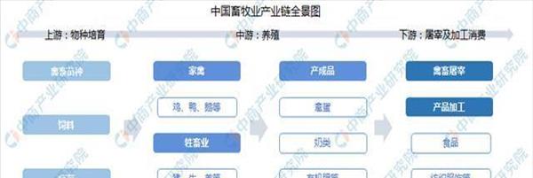 中国畜牧养殖企业排名(中国畜牧养殖网)