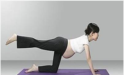 怀孕初期应该怎么锻炼身体(怀孕初期怎样锻炼身体)