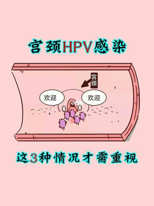 感染hpv怎样增强自身免疫力(感染了hpv如何提高自身免疫力)