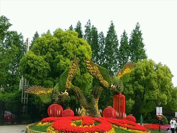 辰山植物园和上海植物园哪个好玩(上海植物园在哪个区)